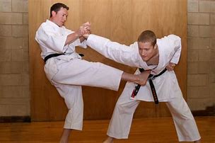 Image result for The Best Martial Arts
