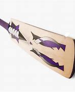Image result for SS Cricket Bat New Stickers