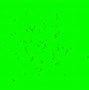 Image result for Green screen PNG