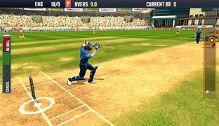 Image result for Fun Cricket Game