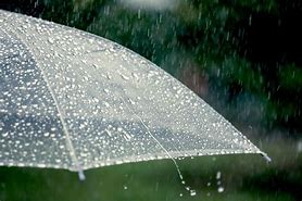 Image result for Rain Umbrella