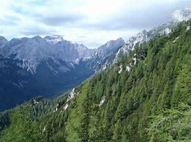 Image result for Crni Vrh Planina Slike
