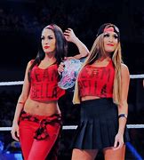 Image result for Brie and Nikki Bella Sasha Banks
