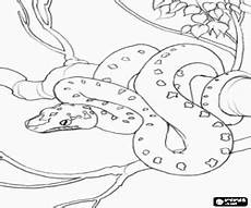 ausmalbilder reptilien malvorlagen ausmalbilder reptilien malvorlagen 2 ausmalbilder reptilien malvorlagen ausmalbilder reptilien malvorlagen 2