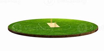 Image result for Cricket Ground PNG