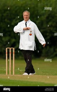 Image result for Cricket Umpire