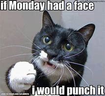 Image result for Monday Work Cat Meme