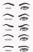 Image result for Correct Eyebrow Shape