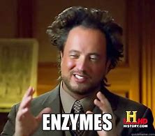 Image result for Enzyme Meme
