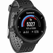 Garmin 的图像结果