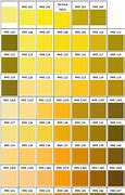 Image result for Gold Coin Colour Swatches