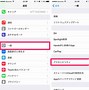 Image result for iPhone 4 Touch Assist