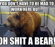 Image result for Bear Office Meme