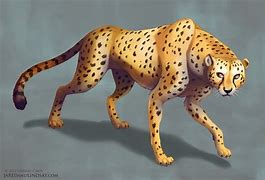 Image result for Cheetah Print Drawing