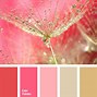 Image result for iPhone 6s Rose Gold Colours