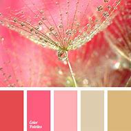 Image result for 38 Rose Gold Pink