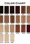Image result for Human Hair Wig Color Chart