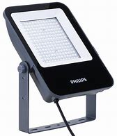 Image result for Philips Fildster Flood Light