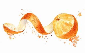 Image result for Orange Peel Clip Art