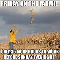 Image result for Funny Farm Animal Memes