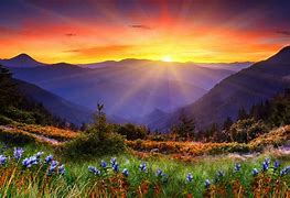 Image result for Scenic View Wallpaper