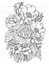 Image result for English Rose Clip Art