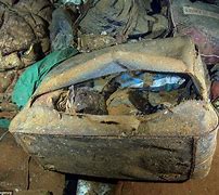Image result for Preserved Bodies Found in Lakes