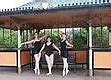 Image result for Dancers 5 6 7 8