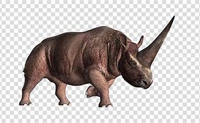 Image result for Wooly Rhino Unicorn