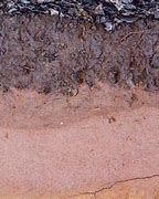 Image result for Soil Section Ground Texture
