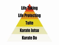 Image result for Martial Arts Cultivation