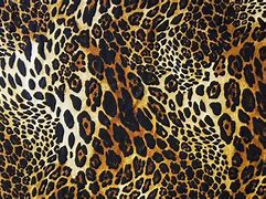 Image result for Cheetah Print Background Laptop
