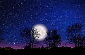 Image result for Night Sky with Stars with a Front Yard