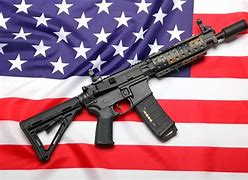 Image result for AR-15 Assault Rifle