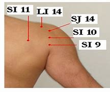 Image result for Acupressure Points for Shoulder Pain