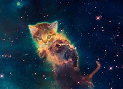 Image result for Cute Galaxy Animated Cat