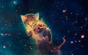 Image result for Cool Galaxy Cat Backgrounds