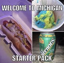 Image result for Michigan Flag Meme