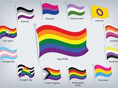Image result for Gay Pride Month Flag