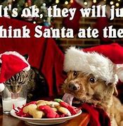 Image result for Humorous Doodle Dog Christmas Meme