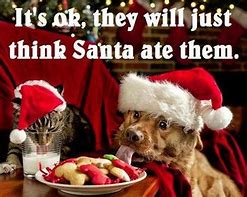 Image result for Hilarious Dog Funny Christmas Memes