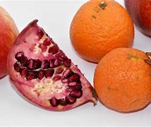 Image result for Mandarin Orange Seeds