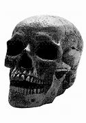 Image result for Glitch Art Skull