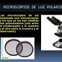 Image result for 1000 Times Microscope Camera Adapter