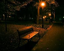 Image result for Bench Night