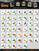 Image result for Square Foot Planting Guide