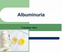 Image result for albuminurua