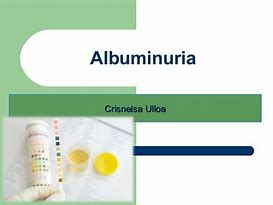 Image result for albuminiria