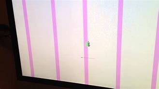 Image result for Pink Lines On Monitor