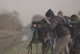 Image result for History of the Somerset Levels